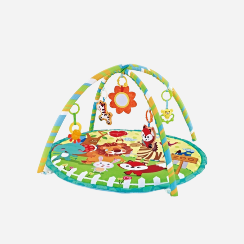Babygym Adventure