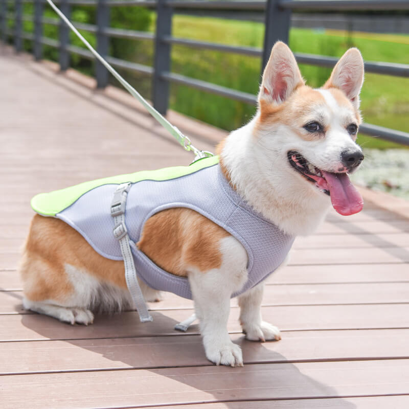 Kylväst för Hund – Reflekterande och Justerbar Hundsele med Trelagers Kylsystem för Sommardagar
