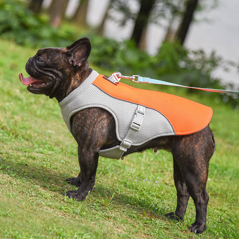 Kylväst för Hund – Reflekterande och Justerbar Hundsele med Trelagers Kylsystem för Sommardagar