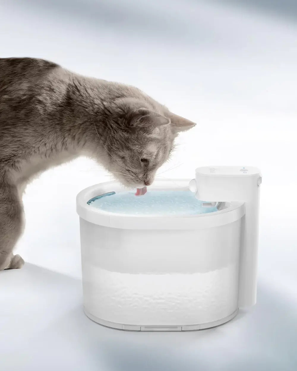 Smart Sensor Cat Vattenfontän