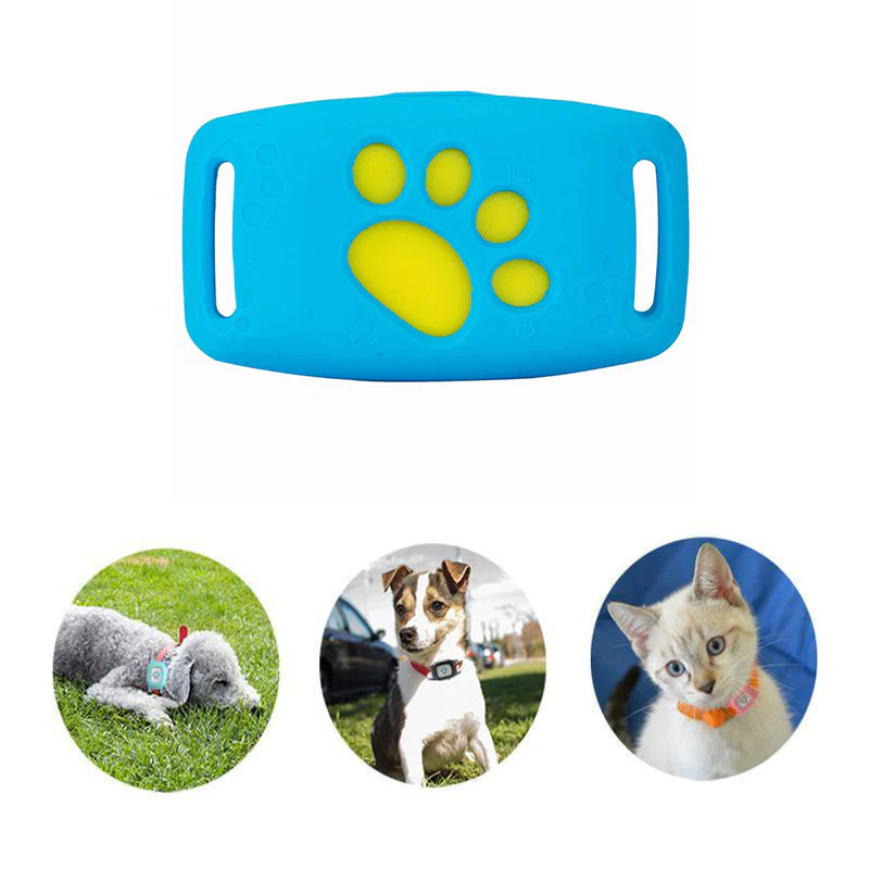 PetBeacon GPS Halsband för Katt & Hund – Vattentätt GPS-spårningshalsband utan Abonnemang | Realtid & Geofence