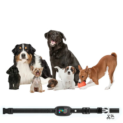 Smart Anti-Skäll Halsband – Effektiv och Skonsam Skällkontroll för Din Hund