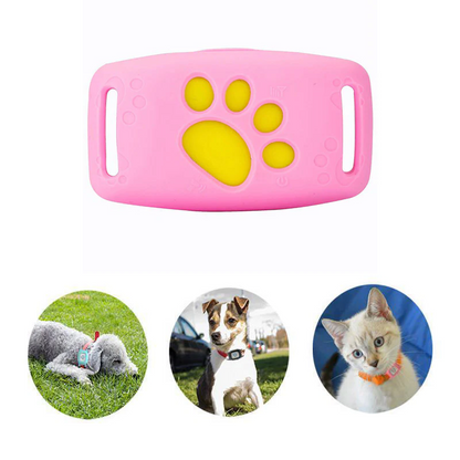 PetBeacon GPS Halsband för Katt & Hund – Vattentätt GPS-spårningshalsband utan Abonnemang | Realtid & Geofence