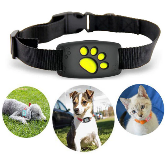PetBeacon GPS Halsband för Katt & Hund – Vattentätt GPS-spårningshalsband utan Abonnemang | Realtid & Geofence
